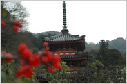 三室戸寺