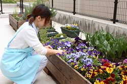写真